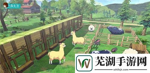 小森生活渔业等级怎么刷