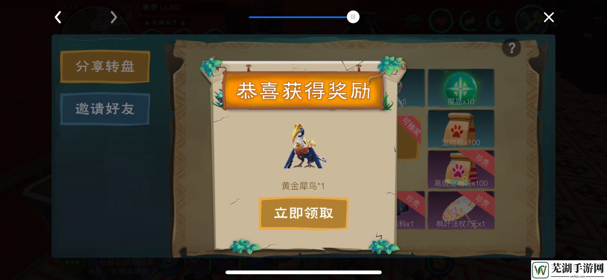创造与魔法黄金犀鸟怎么获得