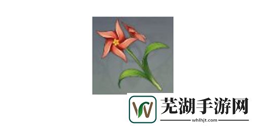原神风车菊在哪里